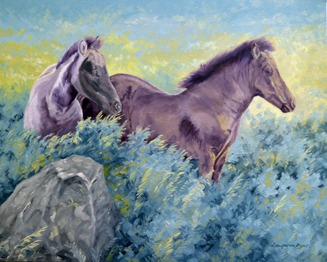 Dartmor Foals By Lawrence
Dyer