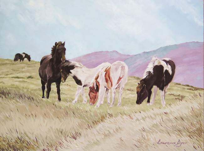 Lawrence Dyer
- Skewbald Foals on Dartmoor