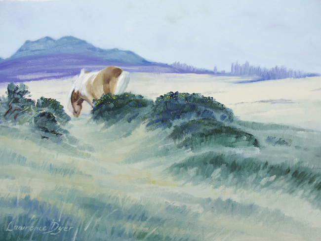 Pony With Dartmoor Tor by
Lawrence Dyer